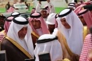 مشروع الجموم