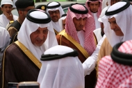 مشروع الجموم